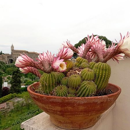 Bed and Breakfast Le Petit Relais Viterbo Exterior foto